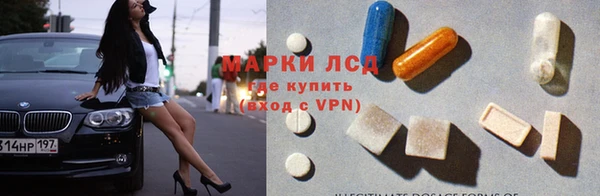 сатива Баксан