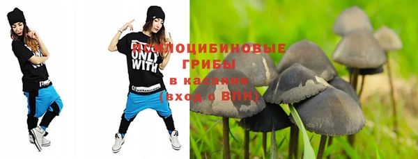 сатива Баксан