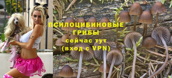 скорость Аркадак