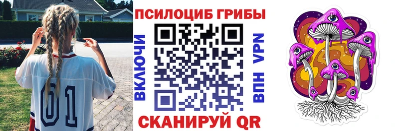 Галлюциногенные грибы Psilocybe  Дудинка 